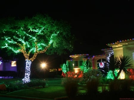 Christmas Decorations - christmas, abstract, lights, photography, decorations, tree