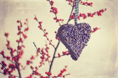 â™¥â™¥ - photography, love, soft, heart