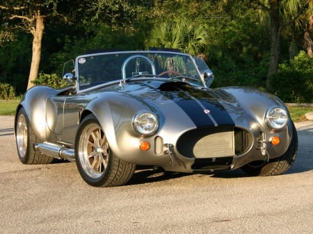 Shelby Cobra 1965 - speed, car, drive, thrill, race