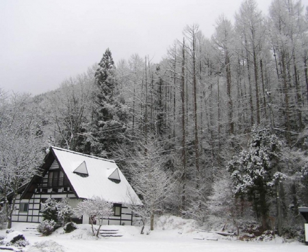 Winter in Nagano - house, japan, winter, nature, nagano, snow, forest, japanese