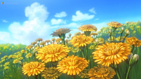 Anime Flower Field Scenery Wallpapers - Wallpaper Cave