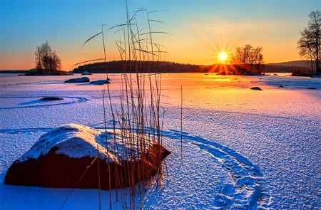 Winter Sunshine - love four seasons, winter, seasons, finland, beautiful, frozen, scenery, places, creative pre-made, sunlight, photography, landscapes, trees, nature, snow, sunshine