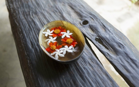 Bowl of Petals - flowers, petals, log, bowl