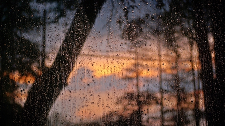 Raining - Winter & Nature Background Wallpapers on Desktop Nexus (Image ...