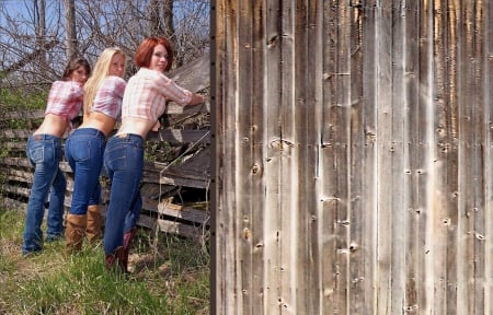 A Nice Fence Row - women, fun, farm, models, redhead, cowgirls, boots, outdoors, females, country, brunettes, blondes, ranch