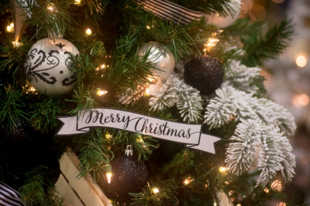 â˜… Merry Christmas â˜… - balls, holidays, merry christmas, wishes, moss, tree, lights