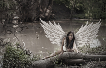 The Angel of the river - woman, angel, river, wings, brunette