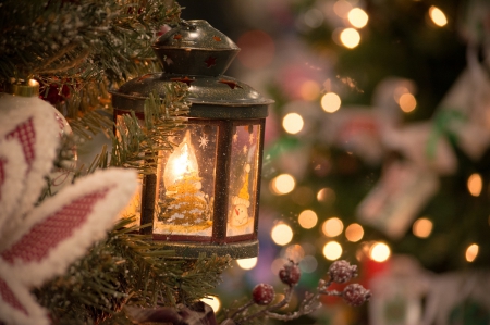 Lantern â˜† ornaments - lantern, winter holidays, wishes, light, magic christmas, tree