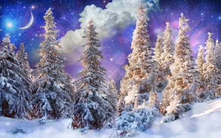 Beautiful Winter - season, sky, trees, coldness, photography, fir trees, evening, clouds, moon, ice, skyphoenixx1, winter, night, space, nature, abstract, woods, forest, snow