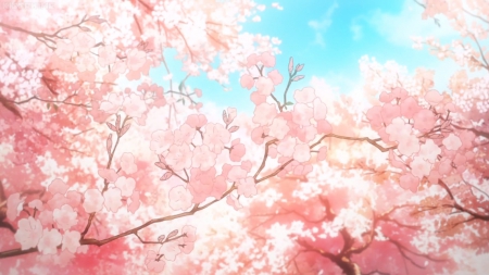 Cherry Blossom - pretty, anime, cherry blossom, sakura, blossom, beautiful, scene, beauty, lovely, sakura blossom, flower, petals, pink, sweet, nice, floral