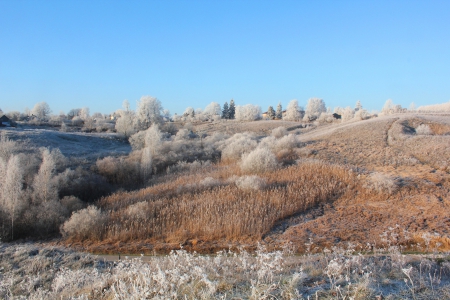 Winter landscape. - winter, nature, landscape, other