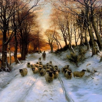 Shepard with his sheep in Winter