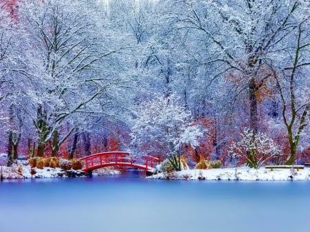 Winter Park - trees, forest, snow, river, park, winter, bridge