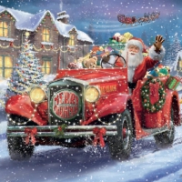 Have a holly jolly Christmas !