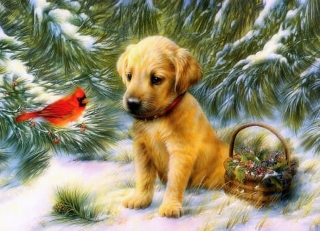 â˜…Meeting Friendsâ˜… - new year, trees, basket, pretty, cardinal, dogs, paintings, cute, birds, xmas and new year, winter, lovely, berries, christmas, love four seasons, holidays, snow, winter holidays, beautiful, colors