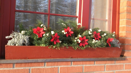 Christmas decoration - flowers, christmas, winter, decoations, windows