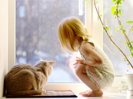 Looking out of the window - looking out, cute, cat, window, girl