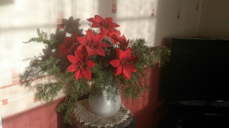 Cristmas bouquet