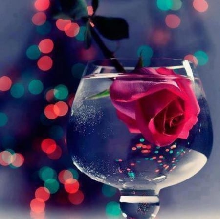 *Emotion is a sigh that makes echo in ♥* - bokeh, water, beautiful, lights, pink rose, glass