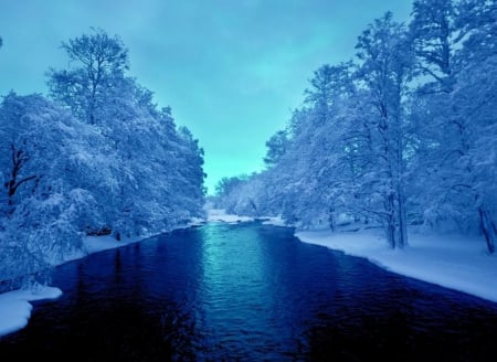 winter - winter, trees, snow, landscape