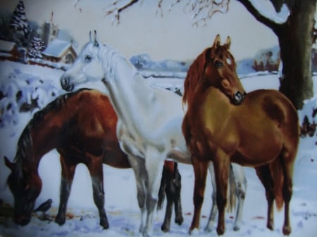 Christmas Eve - christmas, white, winter, horses, brown, snow