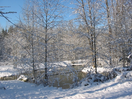 sunny winter day . Coquitlam ,B.C. - winter, forest, snow, river