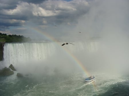 Niagara Falls - seagull, rainbow, mist, falls