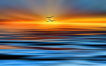 Borderless World - birds, sunset, yellow, blue, beautiful, ocean, sky