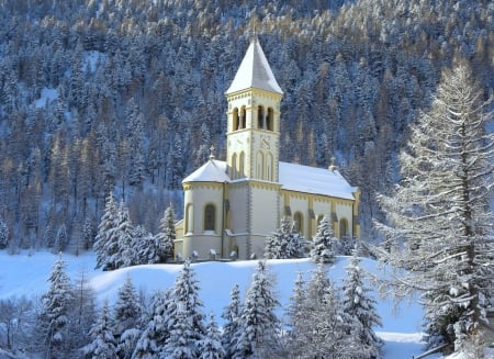 Winter day - winter, trees, church, snow