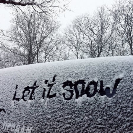 Let it snow - winter, nature, landscape, snow, two colors, black and white, holidays