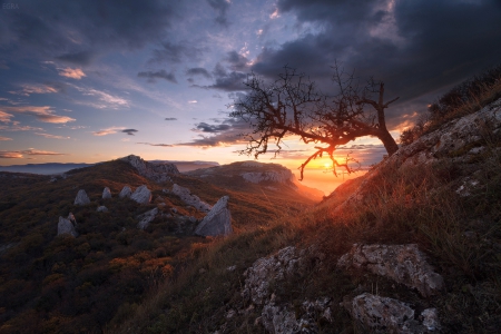 Beautiful Sunset - trees, sunset, mountains, nature