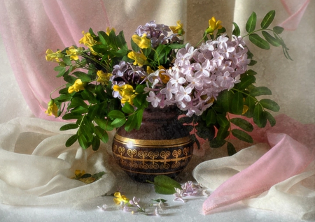 Still Life - flowers, still life, beautiful, vase