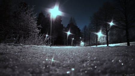 Snow - winter, park, evening, snow