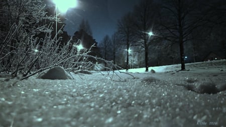 Winter - evening, snow, winter, park