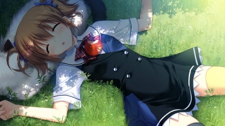 Asleep In The Shade - sleeping, blushing, anime girl, seifuku, irisu, school uniform, shade, makina, grisaia no kajitsu, anime, brunette, grass, apple, cute, makina irisu