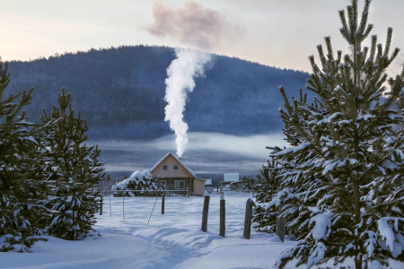 House in the Village - home, trees, mountain, snow, smoke, winter, house