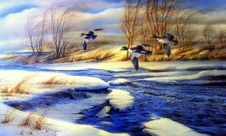 ★Drifting in Winter★ - clouds, pretty, winter lovely, birds, winter, rivers, beautiful, paintings, snow, flying, colors, xmas and new year, cool, love four seasons, sky, animals