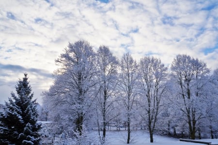 lovely christmas - white, sky, blue, snow