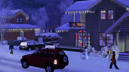 Snowy Night - snow, winter, holiday, night, seasons