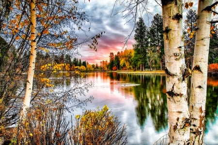 * Lake and Birch ...* - trees, birch, nature, lake, sky