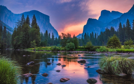 sunset - lake, forest, fun, sunset, nature, mountain