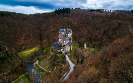 foreat castle - fun, foreat, nature, cool, architecture, castle, medieval