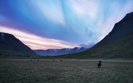 mountain sunset - fun, sunset, nature, cool, mountain