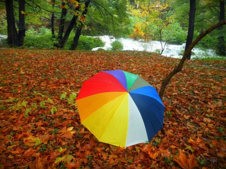 Beautiful Autumn - photography, umbrella, abstract, autumn