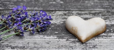 :) - flowers, heart, purple, photography, sift, pink