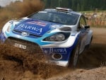 Ford Focus Rally