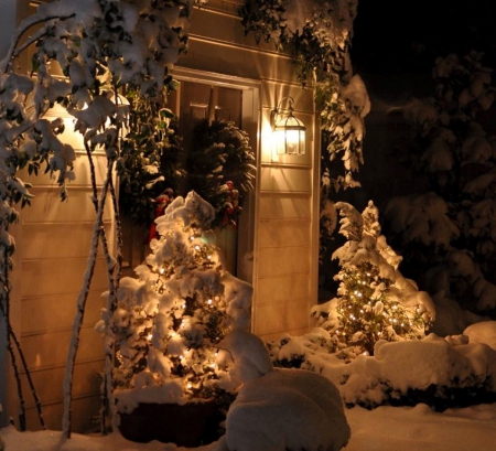 Festive atmosphere - winter, trees, snow, festive atmosphere