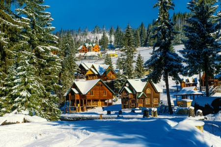 Winter landscape - trees, ski, winter, vacation, beautiful, snow, landscape, slope, resort, rest, mountain, nature, cabins