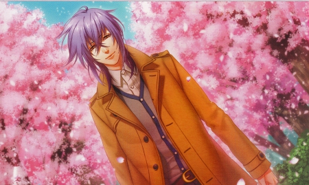 Totsuka Tsukito - totsuka tsukito, trees, sakura, kamigami no asobi, coat, purple hair, visual novel