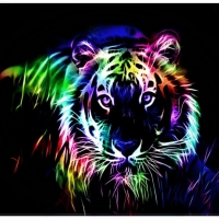 Big Cat